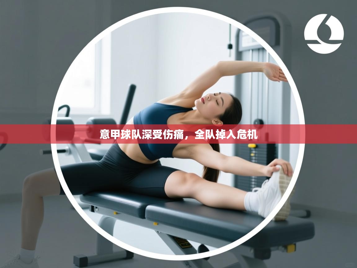 开云体育修改登录密码-意甲球队深受伤痛，全队掉入危机  第3张